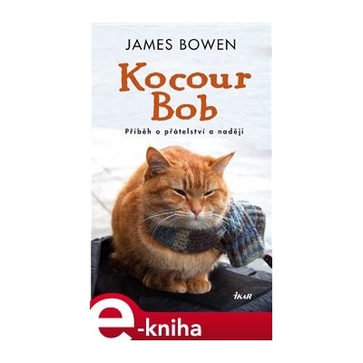 Kocour Bob. Příběh o přátelství a naději - James Bowen