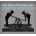 JUTZ, THOMM & ERIC BRACE - SIMPLE MOTION CD