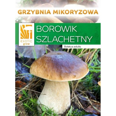 PLANTO Hřib smrkový ( Boletus edulis ) mykorhyzní mycelium PO-SM-HS
