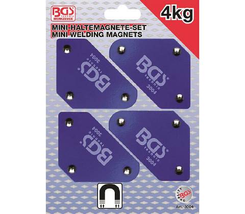BGS 3004