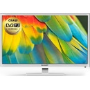 Sharp LC-24CFG6132