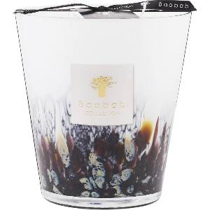 Baobab Collection Rainforest Tanjung 16 cm