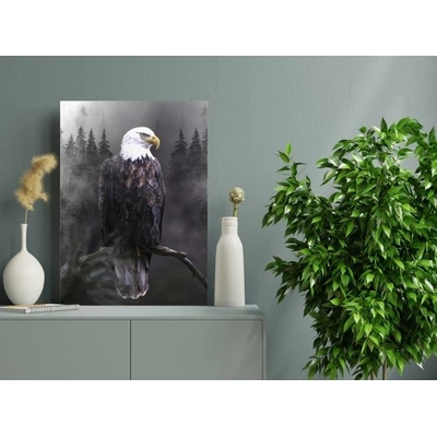 Divio Obraz na plátně, vzor 20389 Velikost: 60x90 cm