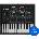 Arturia MiniBrute V (Дигитален продукт)