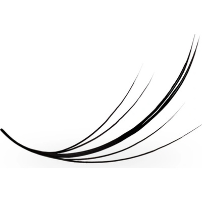 Luxury Lashes WISPY Riasy Premium sypané v hotovom vejáriku 500 ks Zakrivenie umelých rias: CC, Dĺžka umelých rias: 12 mm, Hrúbka rias: 007