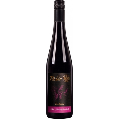 Pádár Exclusive Suché Červená 2017 12,5% 0,75 l (Kartón)