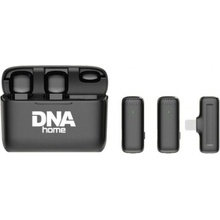 DNA ICM1