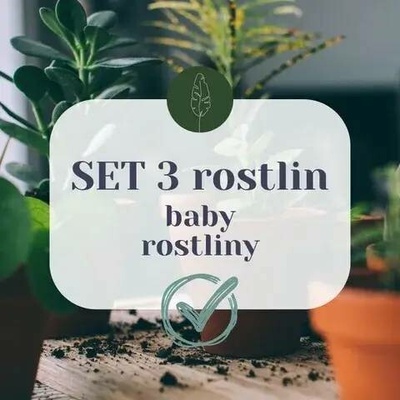 SET 3 baby rostlin