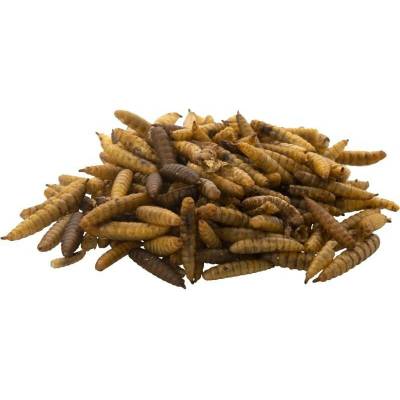 UGF Bráněnka sušené larvy 250 g