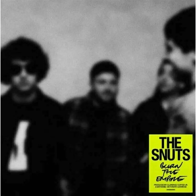 The Snuts - Burn The Empire (LP) (190296235351)