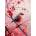 Enjoy - Puzzle Ruby Songbird - 1 000 piese