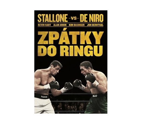 Zpátky do ringu DVD