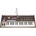 Korg MicroKorg