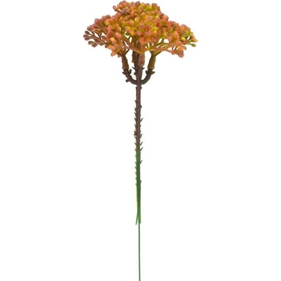 ZÁPICH ZELEŇ TRACHELIUM ZEL-ČER 18CM /BAL.: 3ks/