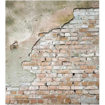 DIMEX ART s. r. o Флизелинов фототапет напукана стена 225 x 250 см