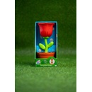 Fru Blu Ruža + náplň 2 × 40 ml
