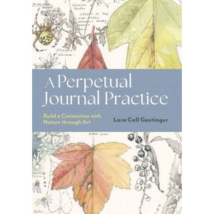 A Perpetual Journal Practice (ISBN: 9781643264905)