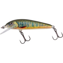 Salmo Minnow Sinking Lake Charr 5 cm