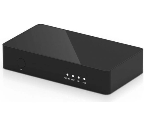 Arylic S-10