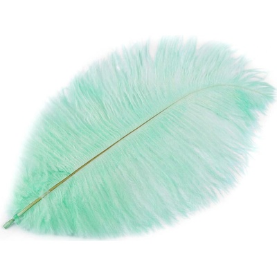 Pštrosí peří délka cca 20-25 cm mint 2 ks