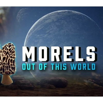 Morels: Out of this World