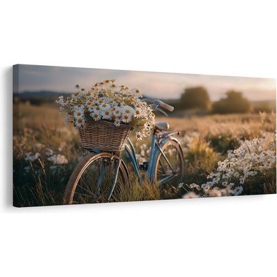 Obraz romantická projížďka mezi kopretinami - 80x40
