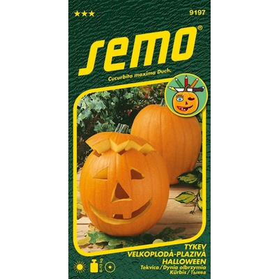 Semo Tykev okrasná - Halloween 2g - série K DEKORACI