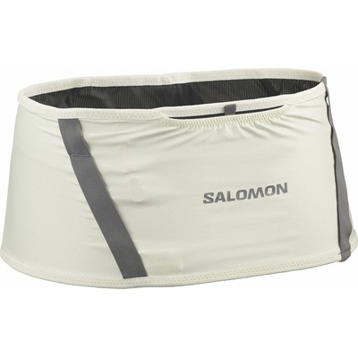 Salomon Pulse icicle / castlerock