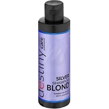 Destiny Destivii Hair Care silver šampón Blond 200 ml