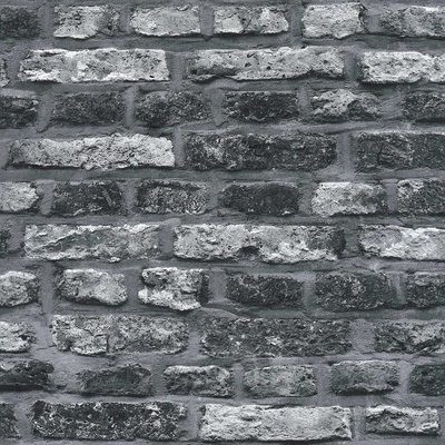 A.S. Création 362812 Vliesová tapeta na zeď Black and White, rozmery 0,53 x 10,05 m