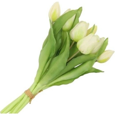 Kytice 7ks bílých realistických tulipánů Tulips - 17*30 cm - daan kromhout