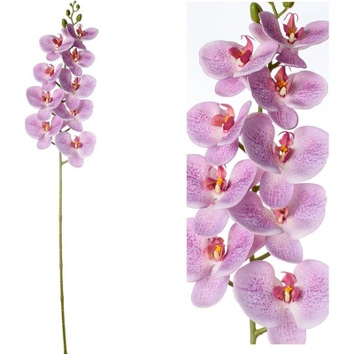 ORCHIDEA PHALENOPSIS RUŽOVO-FIAL., BODKY 96CM