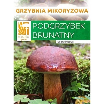PLANTO Hřib hnědý ( Boletus badius ) mykorhyzní mycelium PO-SM-HH