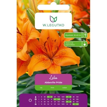W. Legutko Оранжева лилия Abbeville Pride, 1 брой