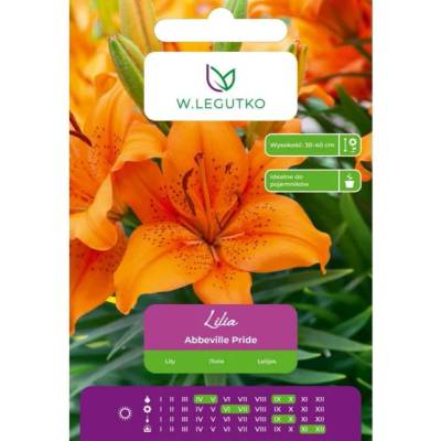 W. Legutko Оранжева лилия Abbeville Pride, 1 брой