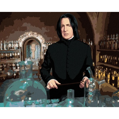Zuty Malování Podle Čísel Severus Snape V Učebně Lektvarů Harry Potter 40 x 50 Cm Plátno 8596530240044
