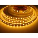 T-LED 079257