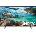 Samsung UE55RU7172