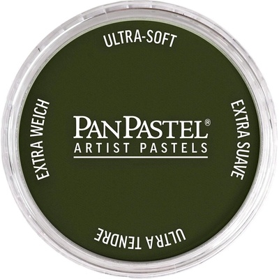 PanPastel Artists’ Сух пастел 660.3 Chromium Oxide Green Shade 1 бр (8026603-1)