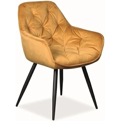 Signal Cherry žlutá / černá