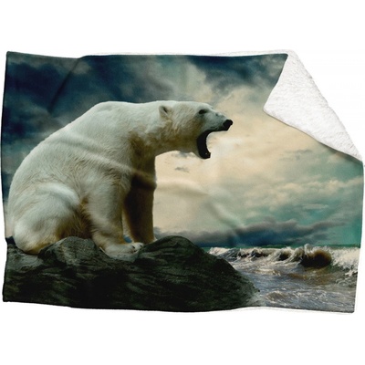 Impar fleece deka Lední medvěd Podšití beránkem ANO 200x140