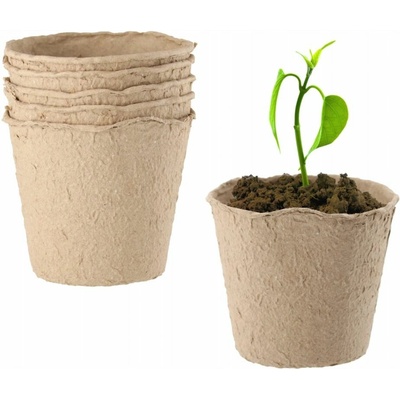 Bestent Zakoreňovače na priesady 10cm 5ks