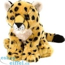 leopard mládě