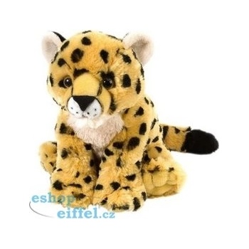 leopard mládě