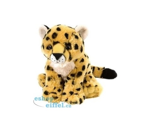 leopard mládě
