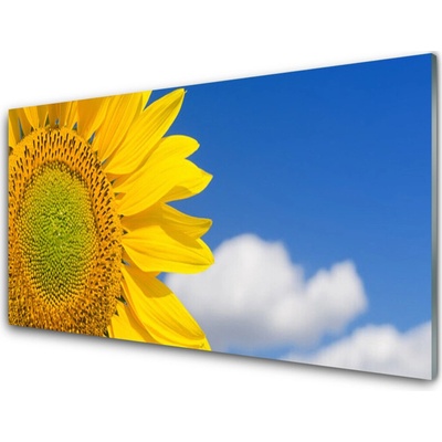 Obraz na skle Slunečnice Mraky 100x50 cm