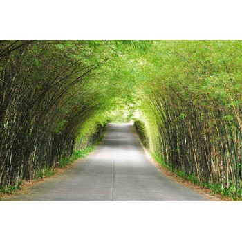 DIMEX ART Флизелинов фототапет бамбукова пътека 375 x 250 см