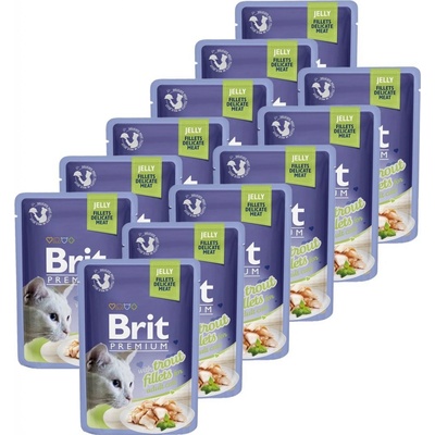 Brit Premium Cat Trout in Jelly 12 x 85 g