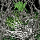 Gloomlord - Worm LP