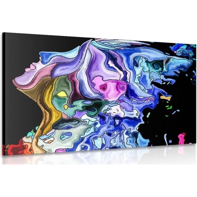 Obraz barevná siluleta ženské tváře - 120x80